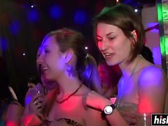 Hot babes at the club have fun