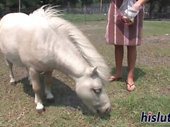 Busty harlot rides on a donkey