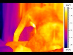 Sex in front of a thermal camera