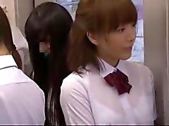 He fondles Japanese schoolgirl on train