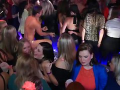 Party babes love to get fucked hard
